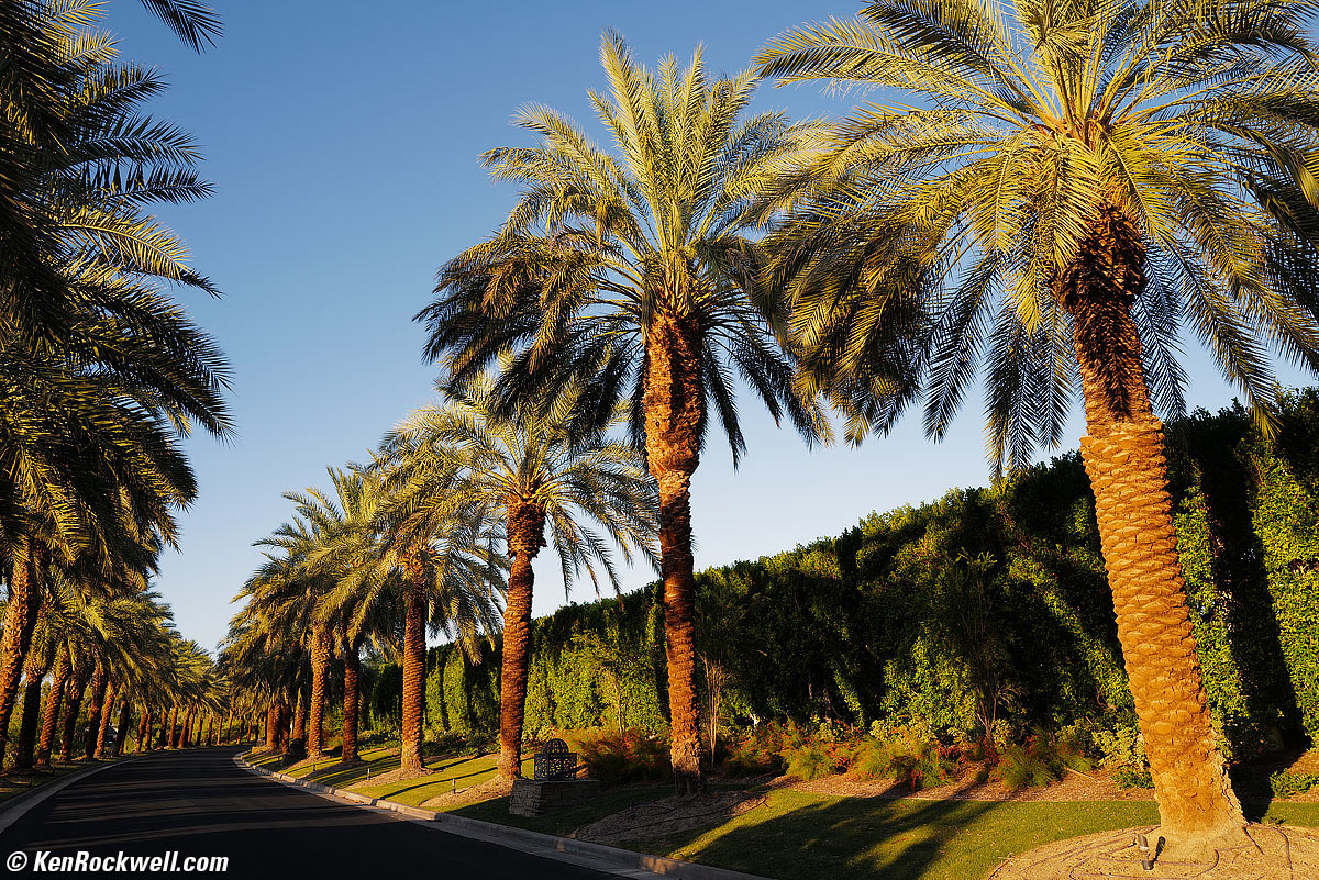 LEICA Q2 Sample Image File