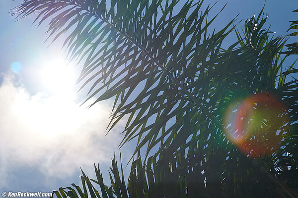 Minolta 100mm f/2.8 Macro ghosts