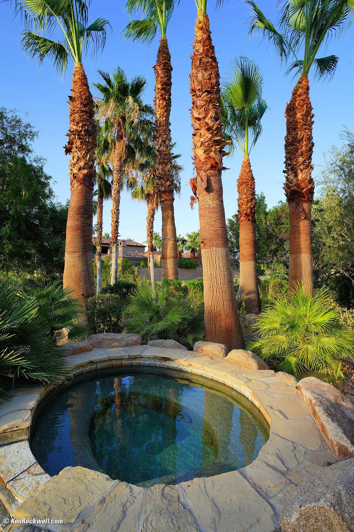 Sony Minolta 20mm f/2.8 Sample Image