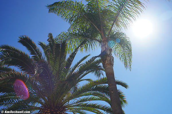 Minolta 28mm f/2 ghosts