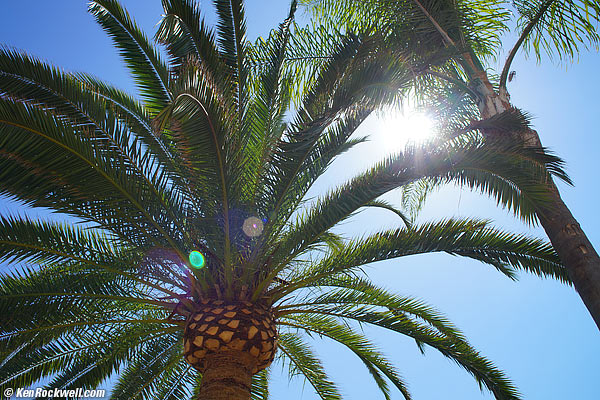 Minolta 28mm f/2 ghosts