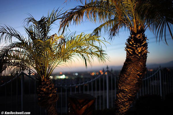 Minolta 35mm f/1.4 bokeh