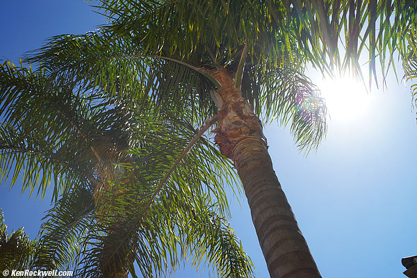 Minolta 35mm f/1.4 ghosts