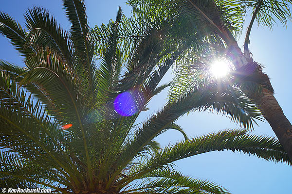 Minolta 35mm f/1.4 sunstar at f/8