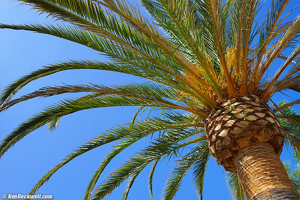 Minolta Maxxum AF 35mm f/1.4