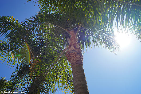 Minolta 35mm f/2 ghosts