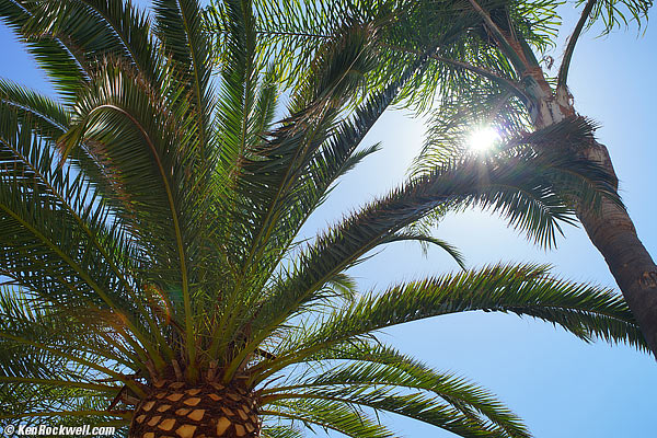 Minolta 35mm f/2 Sunstar