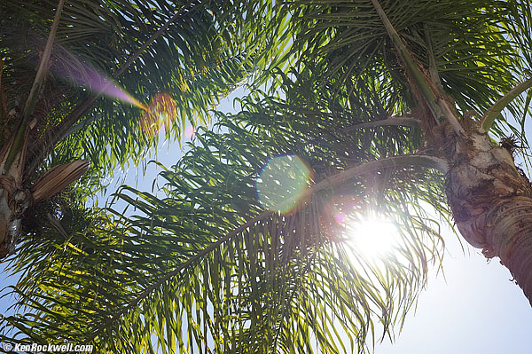 Minolta 50mm f/1.4 ghosts