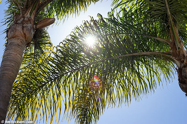 Minolta 50mm f/1.4 Sunstar