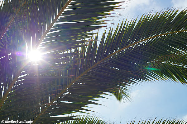 Minolta 50mm f/2.8 ghosts