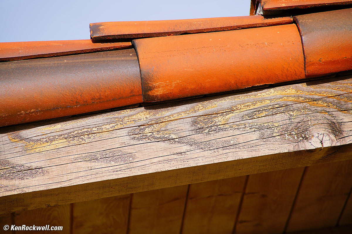 Minolta 80-200mm f/2.8 sample image