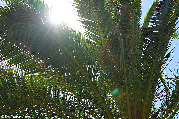 Minolta 85mm f/1.4 ghosts