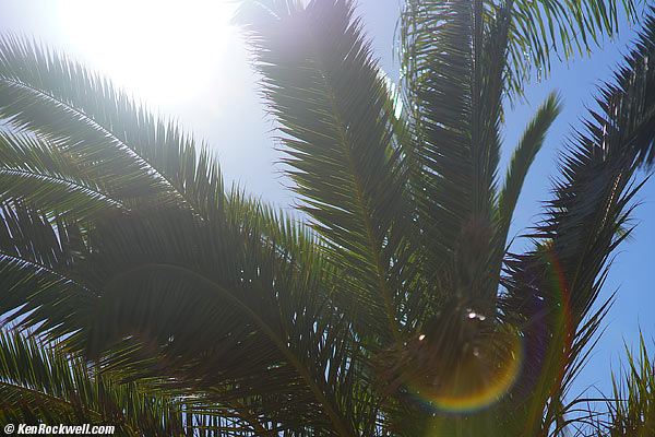 Minolta 85mm f/1.4 ghosts