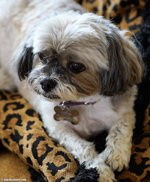 GL550 Headlight, 29 May 2013