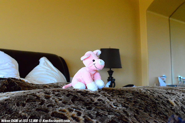 Nikon D600 at ISO 12,800
