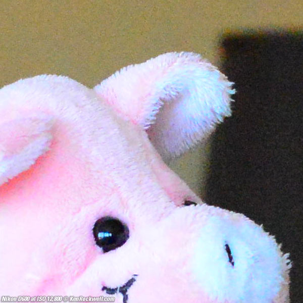 Nikon D600 at ISO 12,800