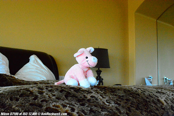 Nikon D7100 at ISO 12,800