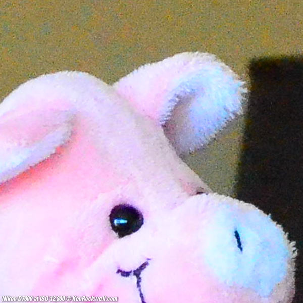 Nikon D7000 at ISO 12,800