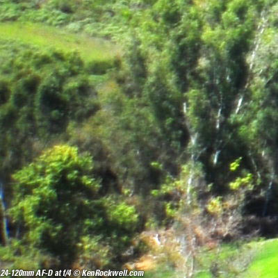 Nikon 24-120mm AF-D "Streetsweeper"