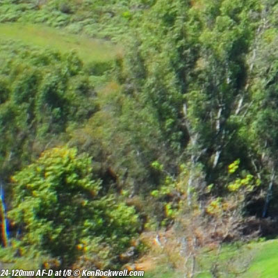 Nikon 24-120mm AF-D "Streetsweeper"