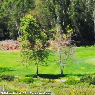 Nikon 24-120mm AF-D "Streetsweeper"