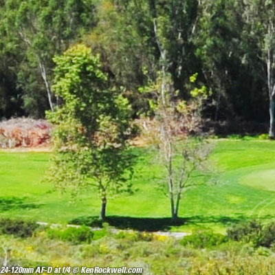 Nikon 24-120mm AF-D "Streetsweeper"