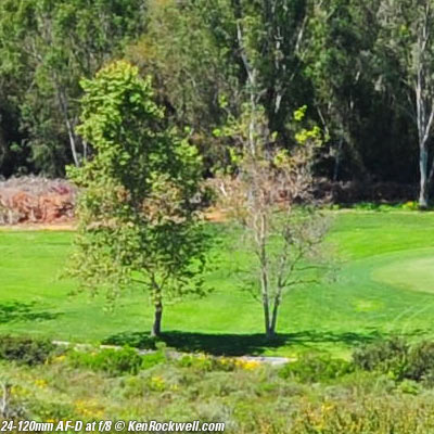 Nikon 24-120mm AF-D "Streetsweeper"