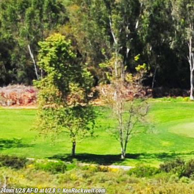 Nikon 24mm f/2.8 AF-D