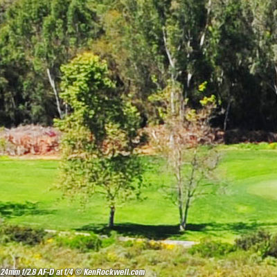 Nikon 24mm f/2.8 AF-D