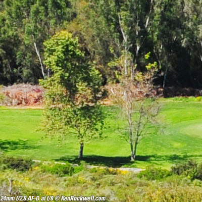 Nikon 24mm f/2.8 AF-D