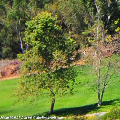 Nikon 24mm f/2.8 AF-D