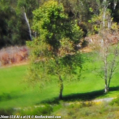 Nikon 24mm f/2.8 AI-s