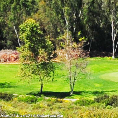 Nikon 24mm f/2.8 AI-s