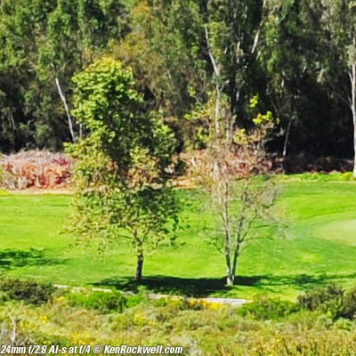 Nikon 24mm f/2.8 AI-s