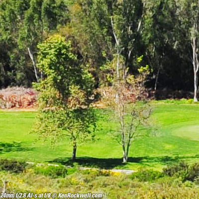 Nikon 24mm f/2.8 AI-s