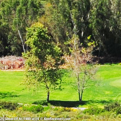 Nikon 25-50mm f/4 AI