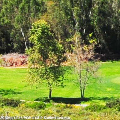 Nikon 25-50mm f/4 AI