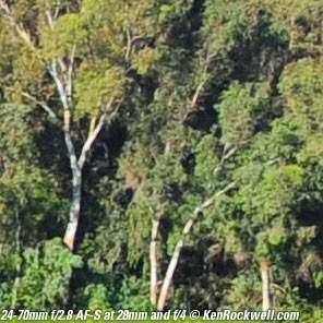 Nikon 24-70mm f/2.8 AF-S