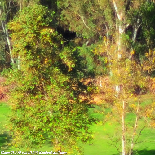 Nikon 50mm f/1.2 AI-s