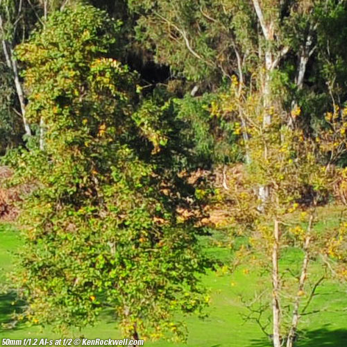 Nikon 50mm f/1.2 AI-s