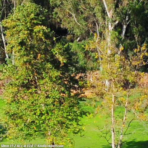 Nikon 50mm f/1.2 AI-s