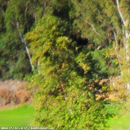 Nikon 50mm f/1.2 AI-s