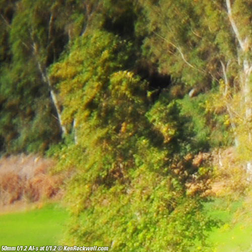 Nikon 50mm f/1.2 AI-s