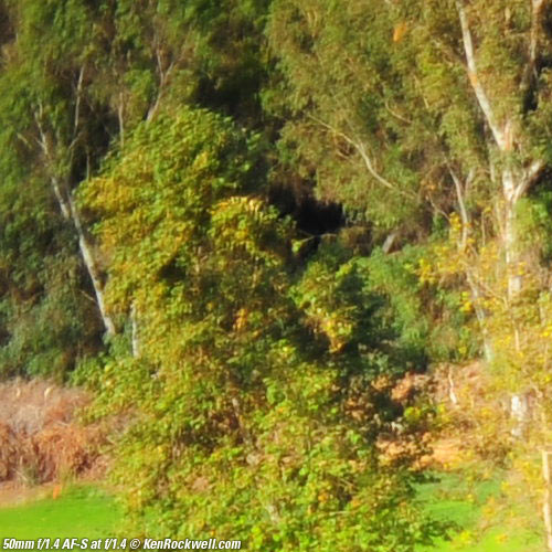 Nikon 50mm f/1.4 AF-S