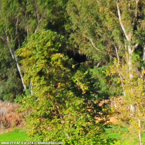 Nikon 50mm f/1.4 AF-S