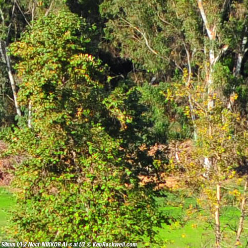 Nikon 58mm f/1.2 Noct-NIKKOR