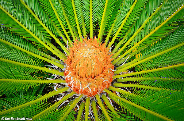 Nikon Coolpix A sample image file