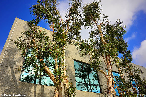 Nikon Coolpix A sample image file