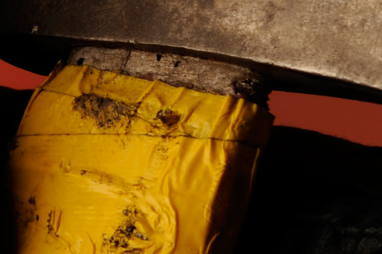 Nikon D3 Example Image