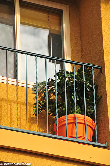 Planter, La Jolla, California.